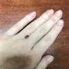 Padparadscha Sapphire-5.69X4mm-0.49CTS-Oval